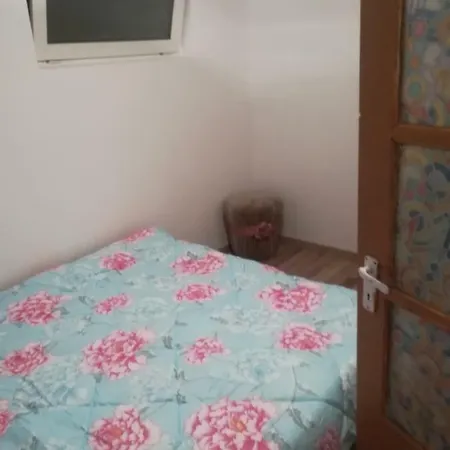 Casa Viile Noi *
